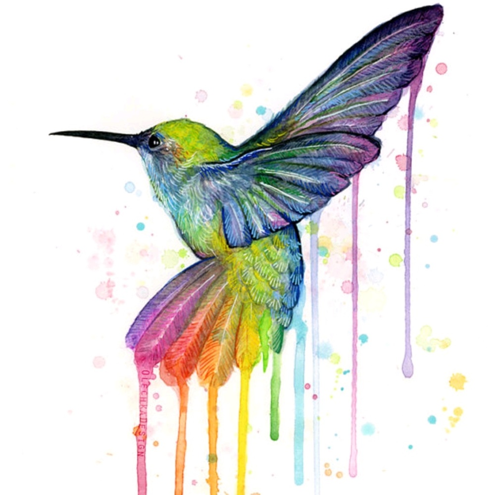 Meet your Posher, Jaiden